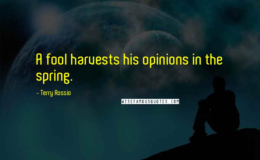 Terry Rossio Quotes: A fool harvests his opinions in the spring.