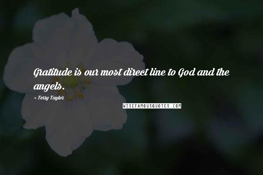 Terry Taylor Quotes: Gratitude is our most direct line to God and the angels.