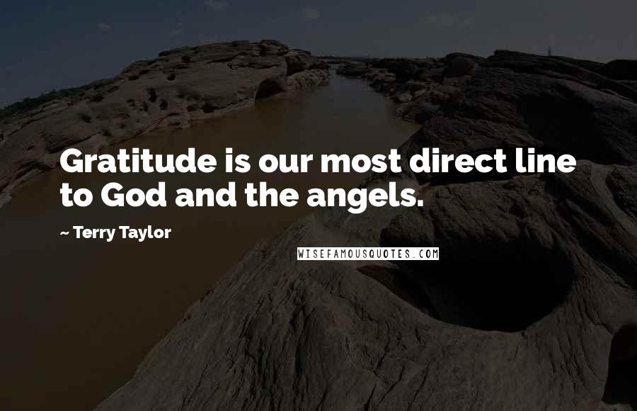 Terry Taylor Quotes: Gratitude is our most direct line to God and the angels.