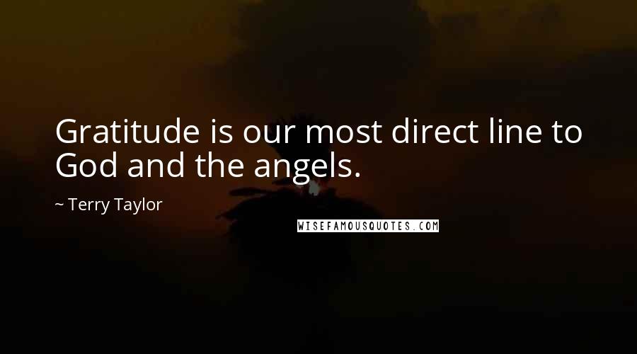 Terry Taylor Quotes: Gratitude is our most direct line to God and the angels.