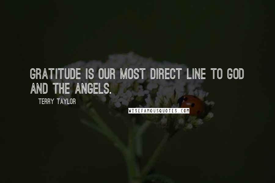 Terry Taylor Quotes: Gratitude is our most direct line to God and the angels.