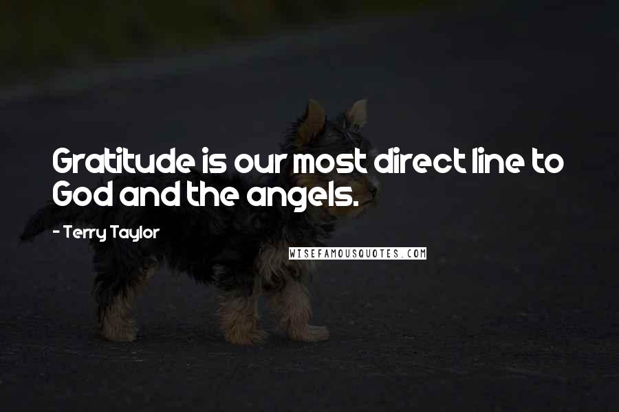 Terry Taylor Quotes: Gratitude is our most direct line to God and the angels.