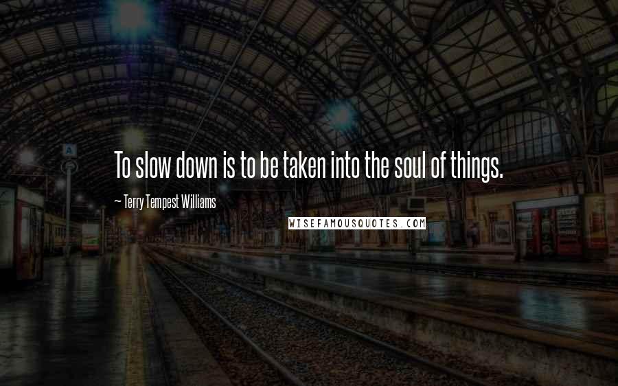 Terry Tempest Williams Quotes: To slow down is to be taken into the soul of things.