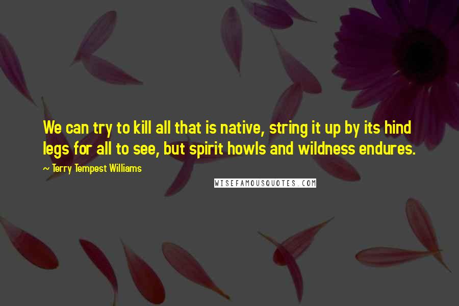 Terry Tempest Williams Quotes: We can try to kill all that is native, string it up by its hind legs for all to see, but spirit howls and wildness endures.