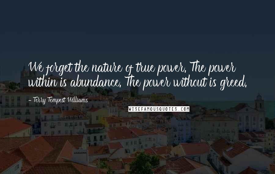 Terry Tempest Williams Quotes: We forget the nature of true power. The power within is abundance. The power without is greed.