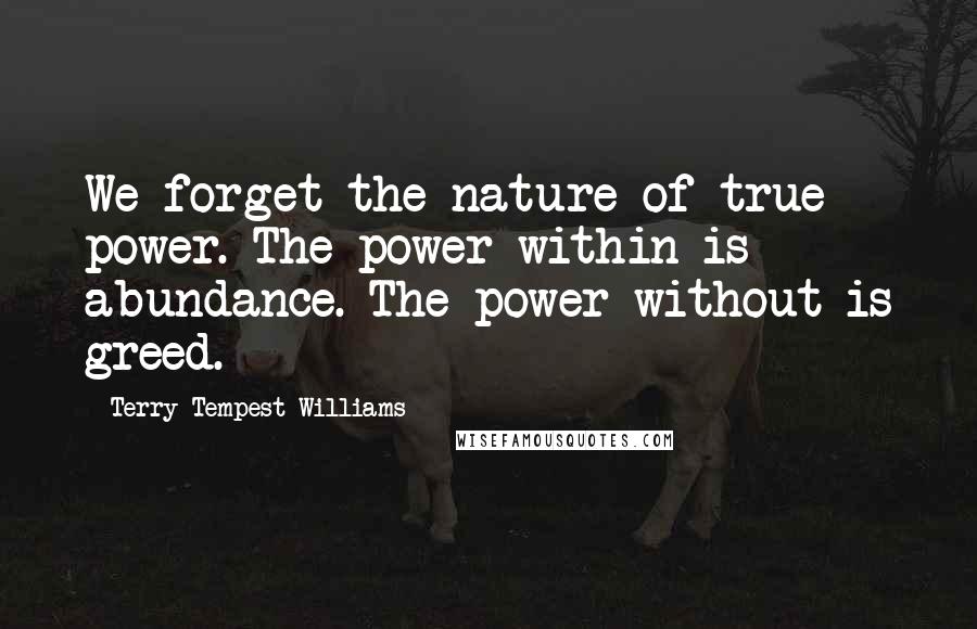 Terry Tempest Williams Quotes: We forget the nature of true power. The power within is abundance. The power without is greed.
