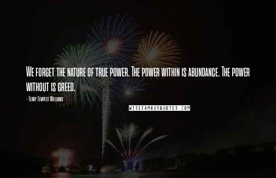 Terry Tempest Williams Quotes: We forget the nature of true power. The power within is abundance. The power without is greed.