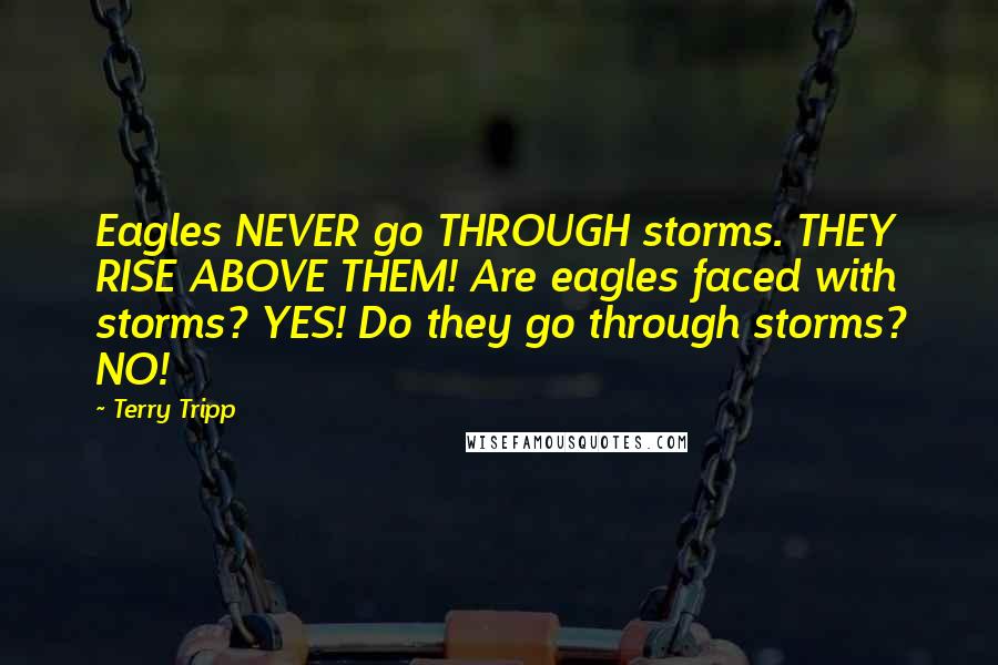 Terry Tripp Quotes: Eagles NEVER go THROUGH storms. THEY RISE ABOVE THEM! Are eagles faced with storms? YES! Do they go through storms? NO!
