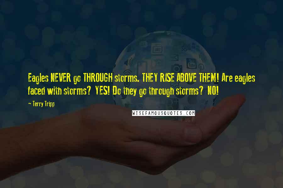 Terry Tripp Quotes: Eagles NEVER go THROUGH storms. THEY RISE ABOVE THEM! Are eagles faced with storms? YES! Do they go through storms? NO!