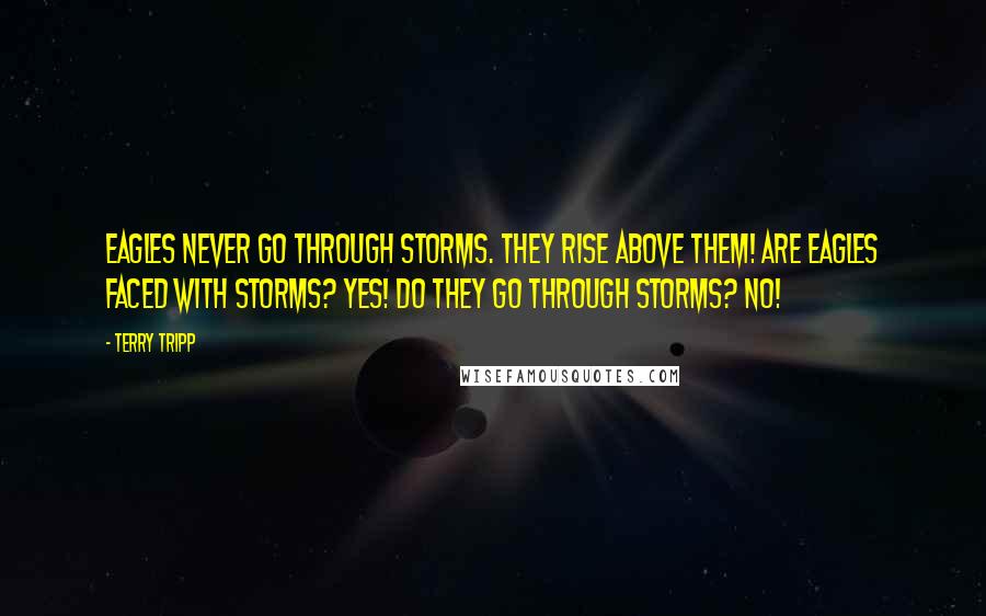 Terry Tripp Quotes: Eagles NEVER go THROUGH storms. THEY RISE ABOVE THEM! Are eagles faced with storms? YES! Do they go through storms? NO!