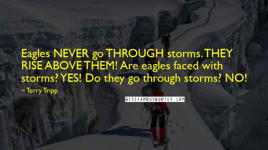 Terry Tripp Quotes: Eagles NEVER go THROUGH storms. THEY RISE ABOVE THEM! Are eagles faced with storms? YES! Do they go through storms? NO!