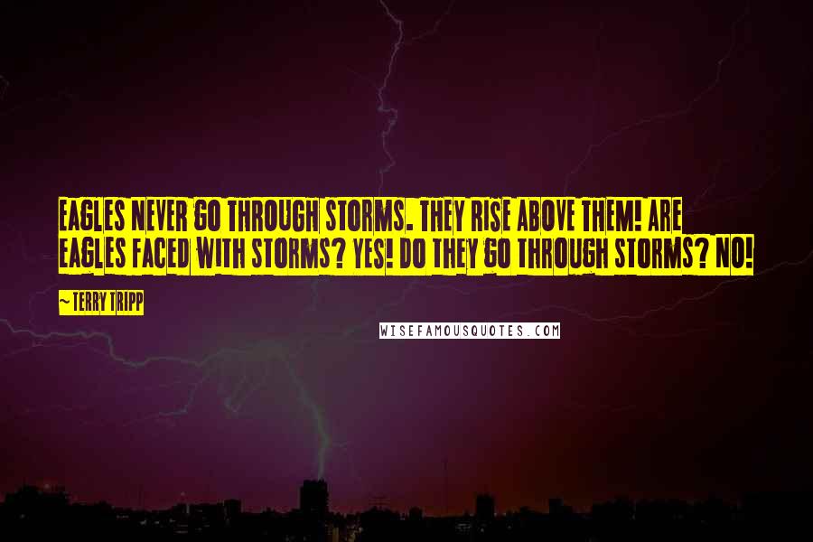 Terry Tripp Quotes: Eagles NEVER go THROUGH storms. THEY RISE ABOVE THEM! Are eagles faced with storms? YES! Do they go through storms? NO!