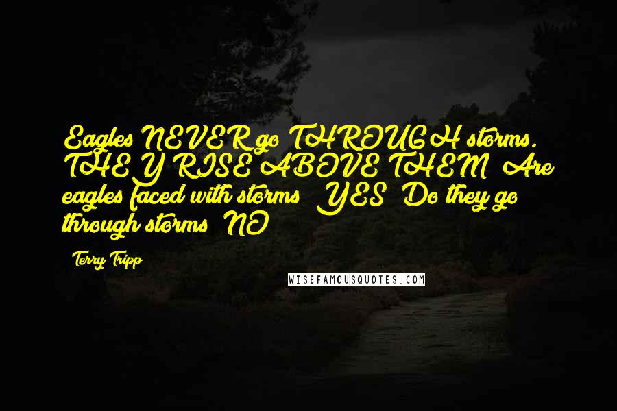 Terry Tripp Quotes: Eagles NEVER go THROUGH storms. THEY RISE ABOVE THEM! Are eagles faced with storms? YES! Do they go through storms? NO!