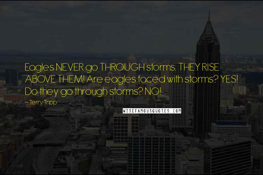 Terry Tripp Quotes: Eagles NEVER go THROUGH storms. THEY RISE ABOVE THEM! Are eagles faced with storms? YES! Do they go through storms? NO!