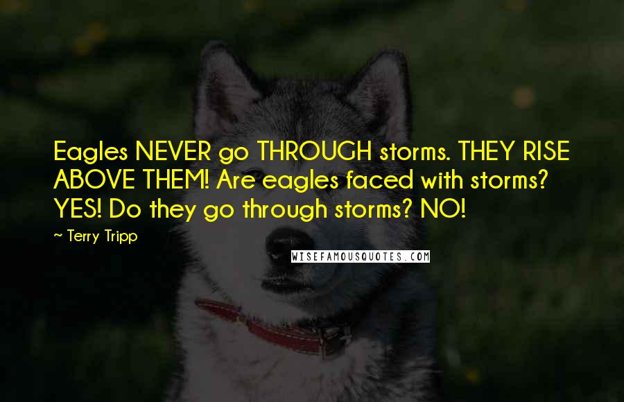 Terry Tripp Quotes: Eagles NEVER go THROUGH storms. THEY RISE ABOVE THEM! Are eagles faced with storms? YES! Do they go through storms? NO!