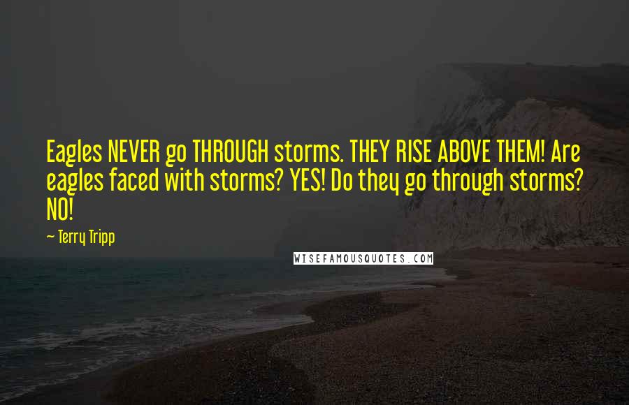 Terry Tripp Quotes: Eagles NEVER go THROUGH storms. THEY RISE ABOVE THEM! Are eagles faced with storms? YES! Do they go through storms? NO!