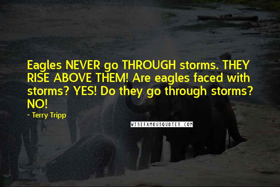Terry Tripp Quotes: Eagles NEVER go THROUGH storms. THEY RISE ABOVE THEM! Are eagles faced with storms? YES! Do they go through storms? NO!