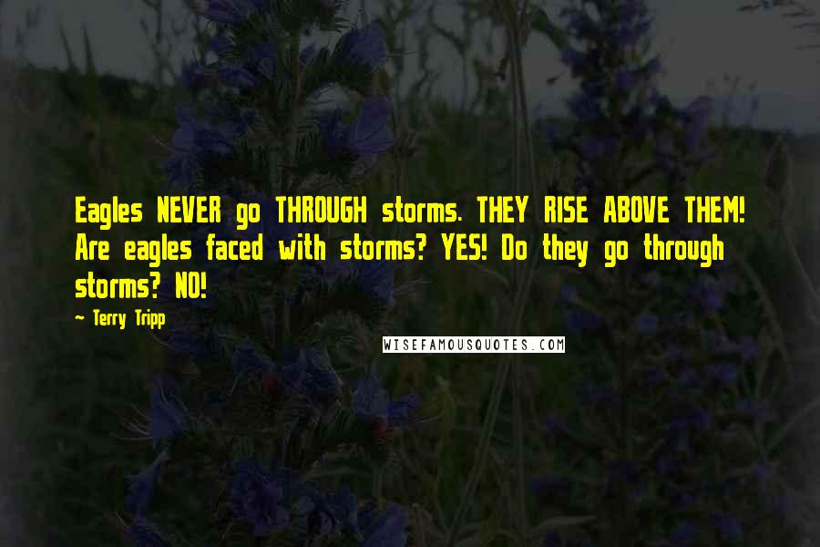 Terry Tripp Quotes: Eagles NEVER go THROUGH storms. THEY RISE ABOVE THEM! Are eagles faced with storms? YES! Do they go through storms? NO!