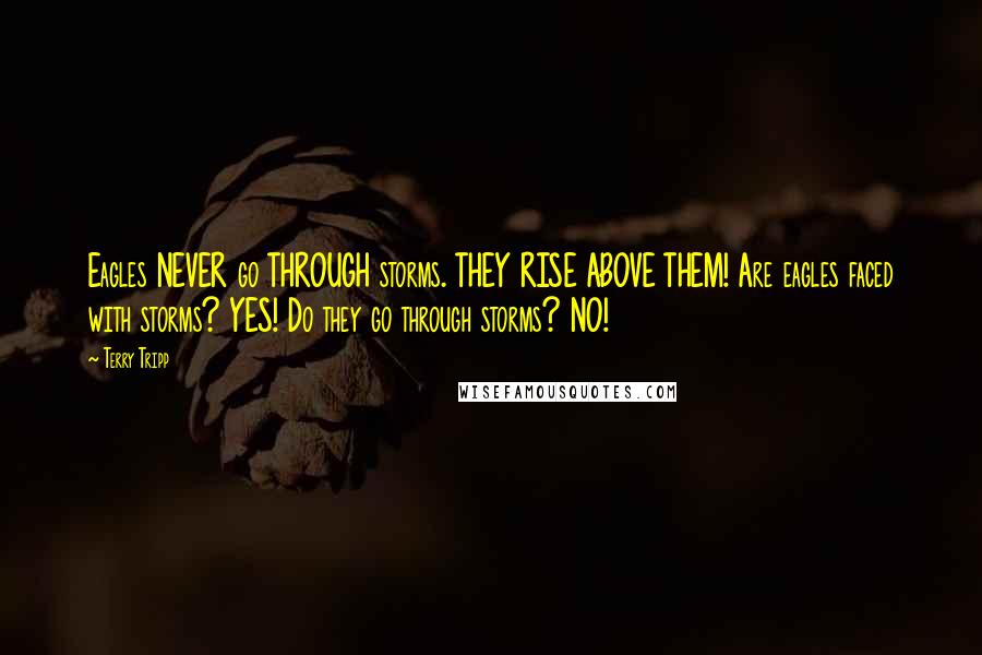 Terry Tripp Quotes: Eagles NEVER go THROUGH storms. THEY RISE ABOVE THEM! Are eagles faced with storms? YES! Do they go through storms? NO!