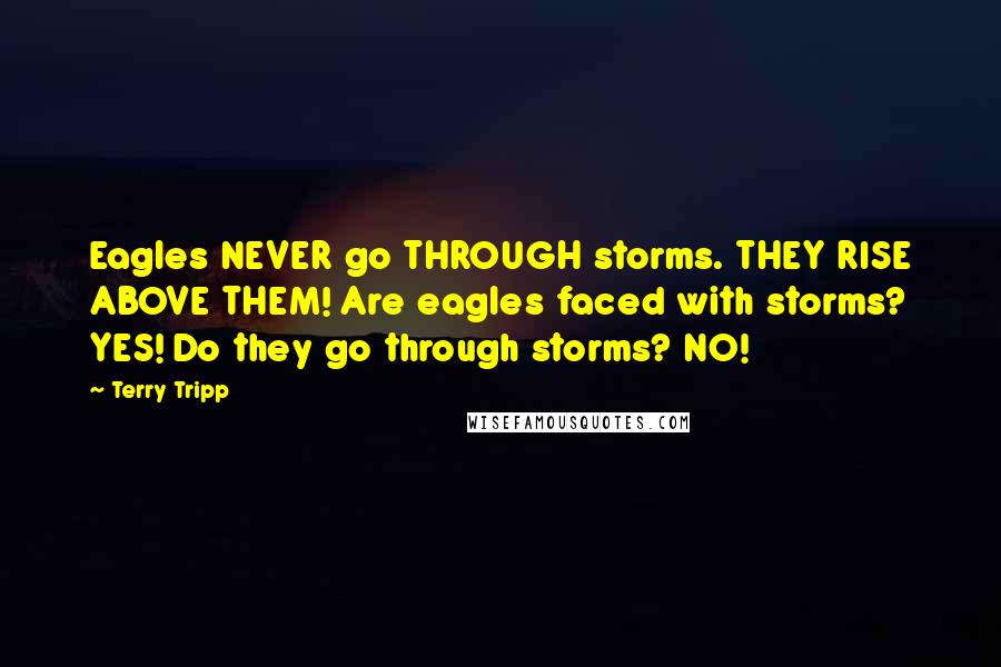 Terry Tripp Quotes: Eagles NEVER go THROUGH storms. THEY RISE ABOVE THEM! Are eagles faced with storms? YES! Do they go through storms? NO!