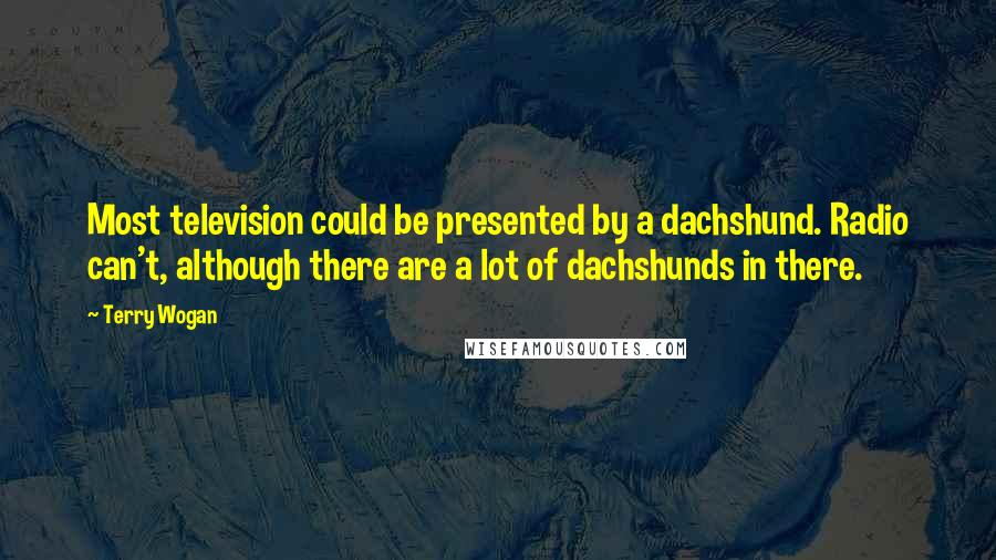 Terry Wogan Quotes: Most television could be presented by a dachshund. Radio can't, although there are a lot of dachshunds in there.