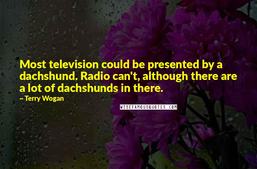 Terry Wogan Quotes: Most television could be presented by a dachshund. Radio can't, although there are a lot of dachshunds in there.