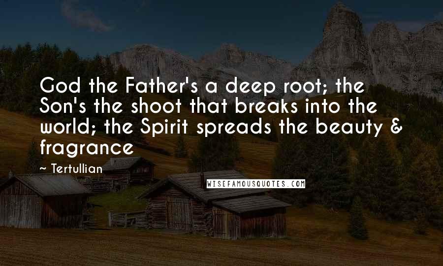 Tertullian Quotes: God the Father's a deep root; the Son's the shoot that breaks into the world; the Spirit spreads the beauty & fragrance