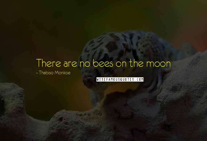 Thabiso Monkoe Quotes: There are no bees on the moon