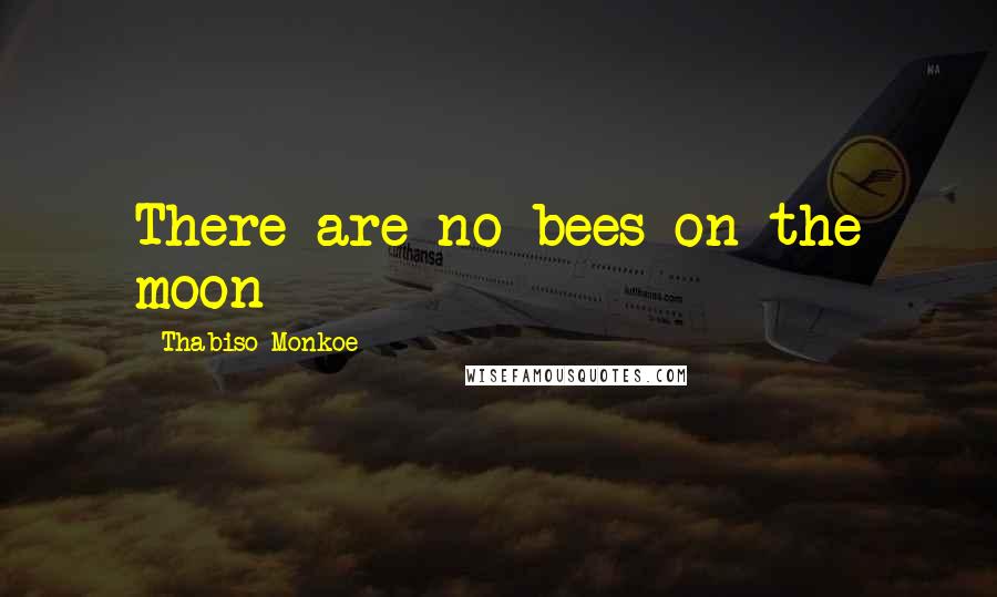 Thabiso Monkoe Quotes: There are no bees on the moon