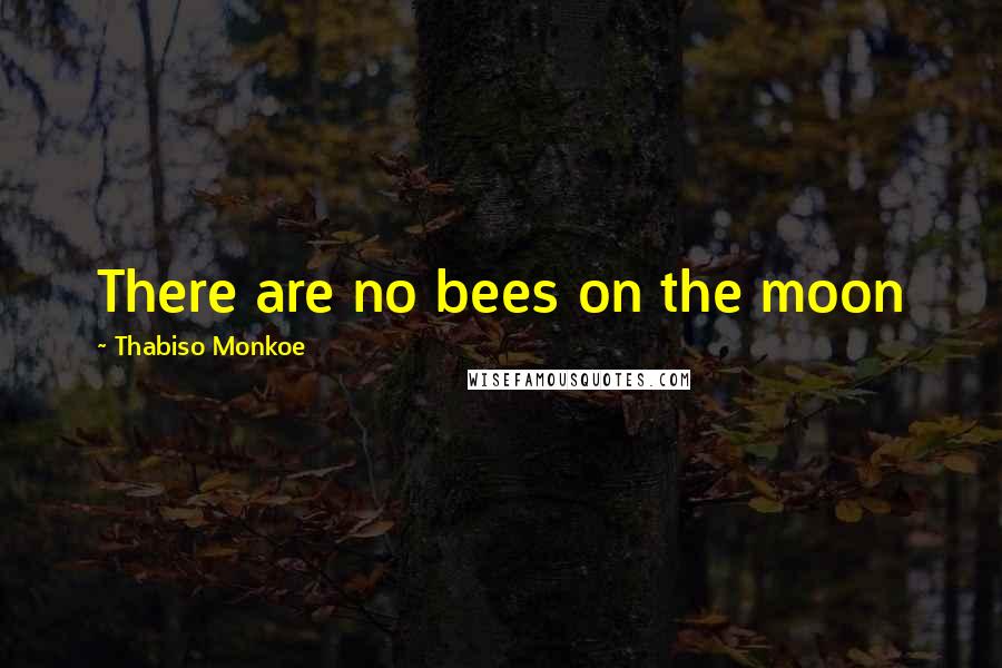 Thabiso Monkoe Quotes: There are no bees on the moon