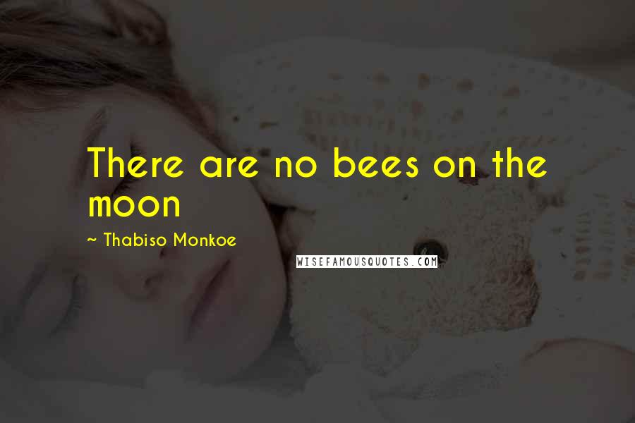 Thabiso Monkoe Quotes: There are no bees on the moon