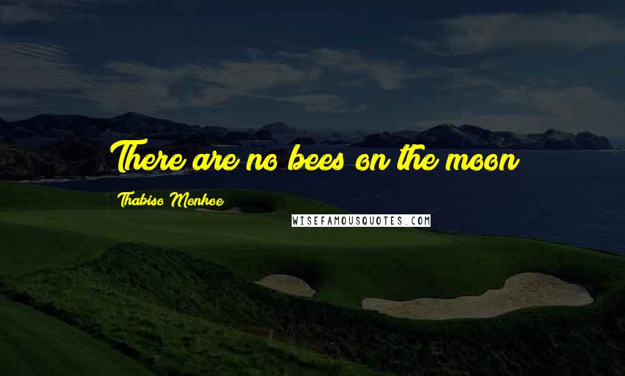 Thabiso Monkoe Quotes: There are no bees on the moon