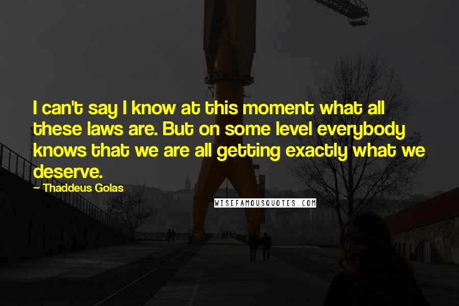 Thaddeus Golas Quotes: I can't say I know at this moment what all these laws are. But on some level everybody knows that we are all getting exactly what we deserve.