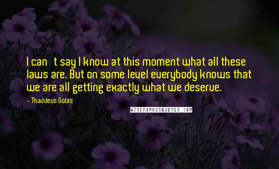 Thaddeus Golas Quotes: I can't say I know at this moment what all these laws are. But on some level everybody knows that we are all getting exactly what we deserve.