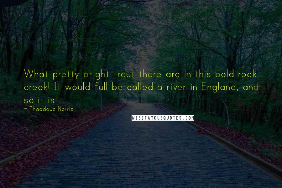 Thaddeus Norris Quotes: What pretty bright trout there are in this bold rock creek! It would full be called a river in England, and so it is!