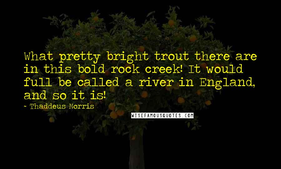Thaddeus Norris Quotes: What pretty bright trout there are in this bold rock creek! It would full be called a river in England, and so it is!