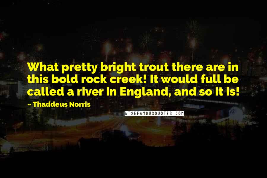 Thaddeus Norris Quotes: What pretty bright trout there are in this bold rock creek! It would full be called a river in England, and so it is!