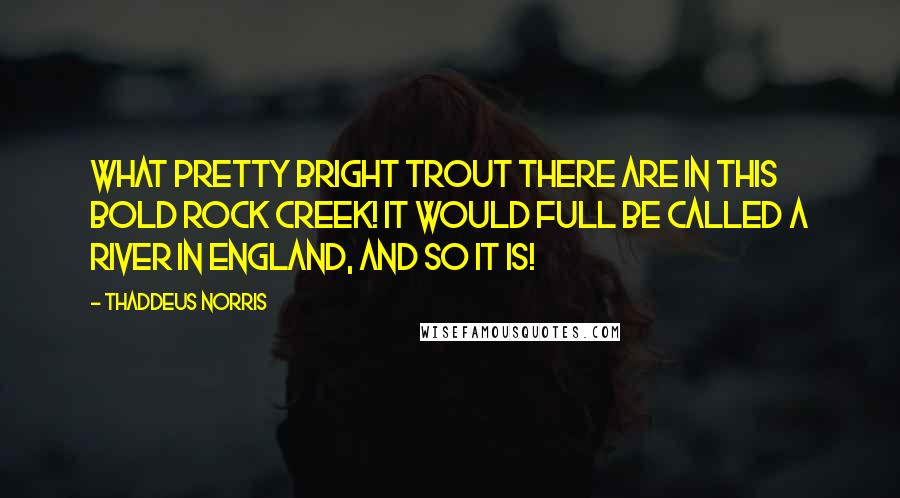 Thaddeus Norris Quotes: What pretty bright trout there are in this bold rock creek! It would full be called a river in England, and so it is!