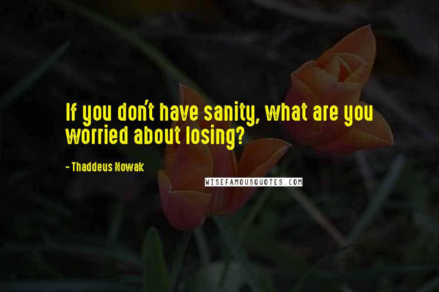 Thaddeus Nowak Quotes: If you don't have sanity, what are you worried about losing?