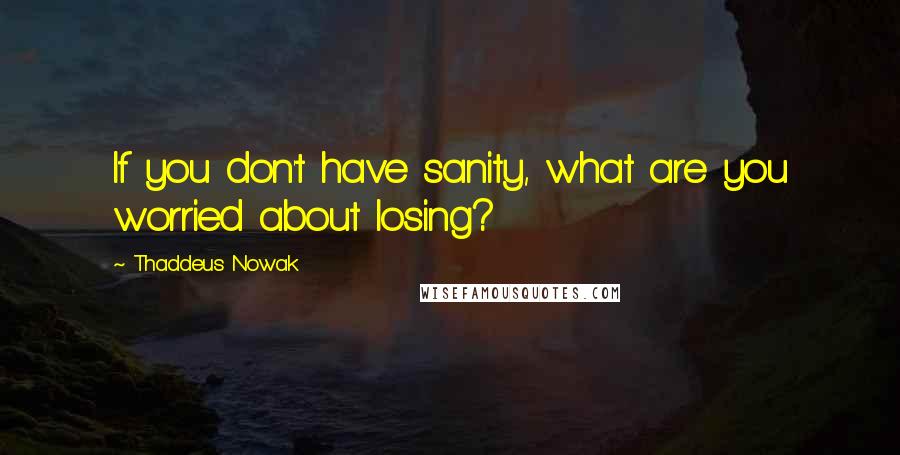 Thaddeus Nowak Quotes: If you don't have sanity, what are you worried about losing?