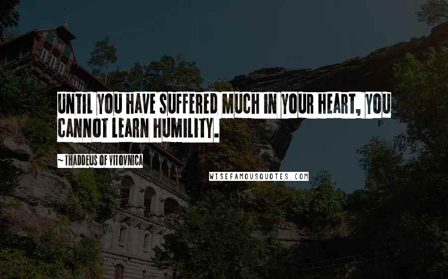 Thaddeus Of Vitovnica Quotes: Until you have suffered much in your heart, you cannot learn humility.