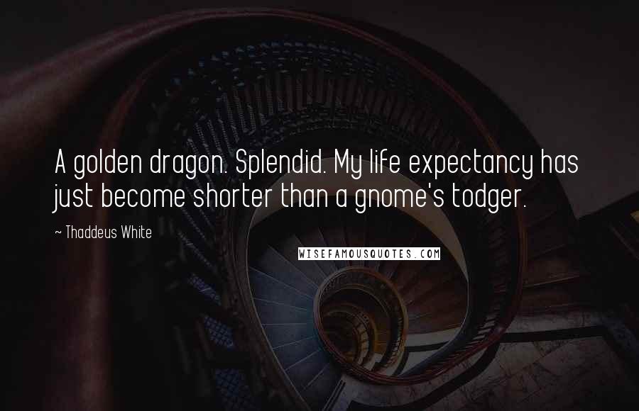 Thaddeus White Quotes: A golden dragon. Splendid. My life expectancy has just become shorter than a gnome's todger.