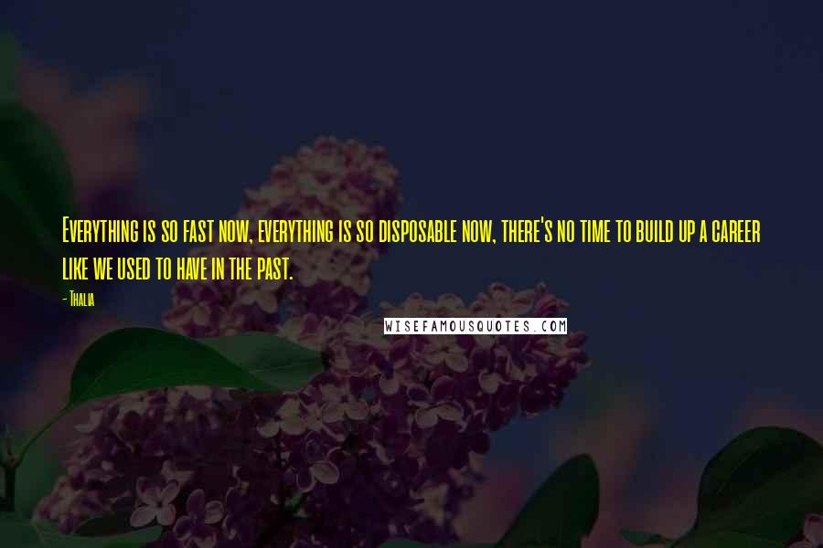 Thalia Quotes: Everything is so fast now, everything is so disposable now, there's no time to build up a career like we used to have in the past.