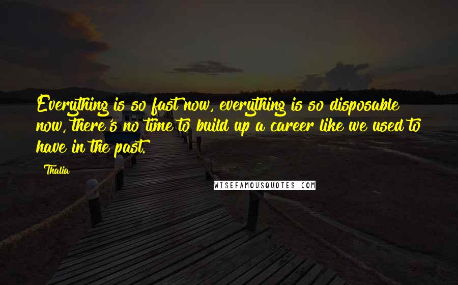 Thalia Quotes: Everything is so fast now, everything is so disposable now, there's no time to build up a career like we used to have in the past.