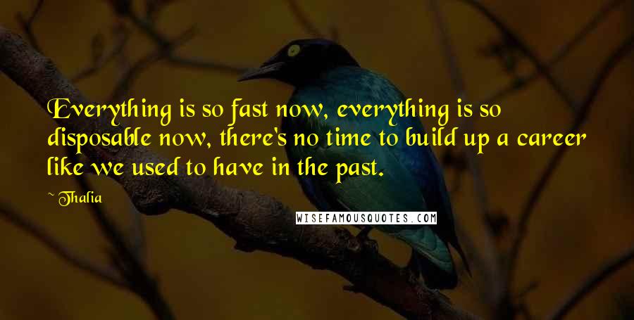 Thalia Quotes: Everything is so fast now, everything is so disposable now, there's no time to build up a career like we used to have in the past.
