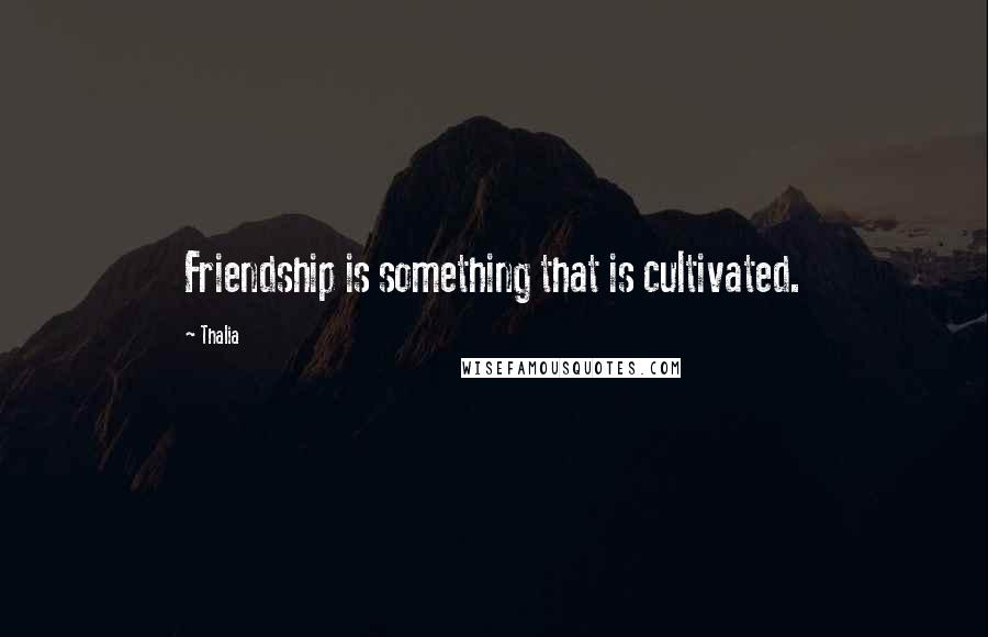 Thalia Quotes: Friendship is something that is cultivated.