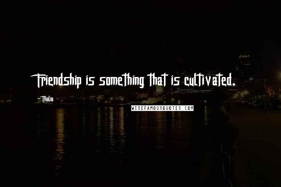 Thalia Quotes: Friendship is something that is cultivated.