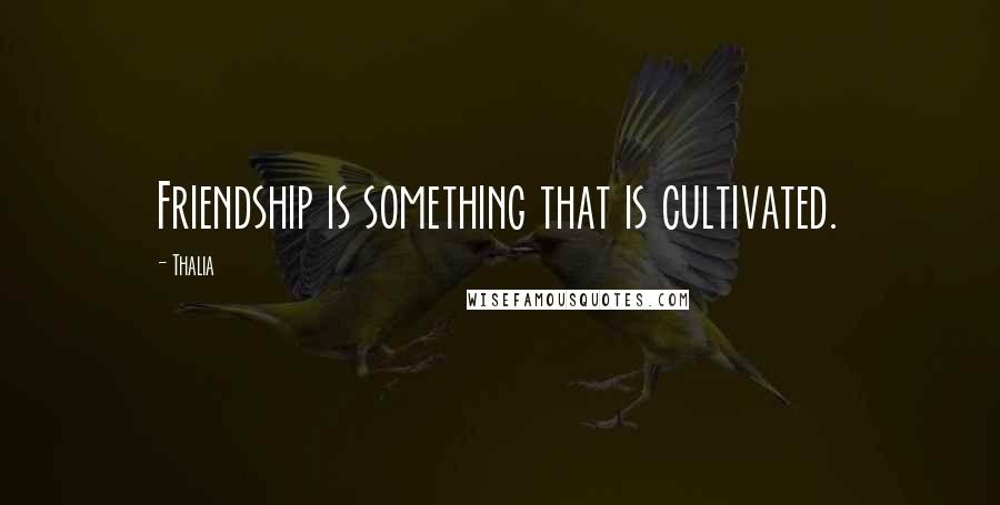 Thalia Quotes: Friendship is something that is cultivated.