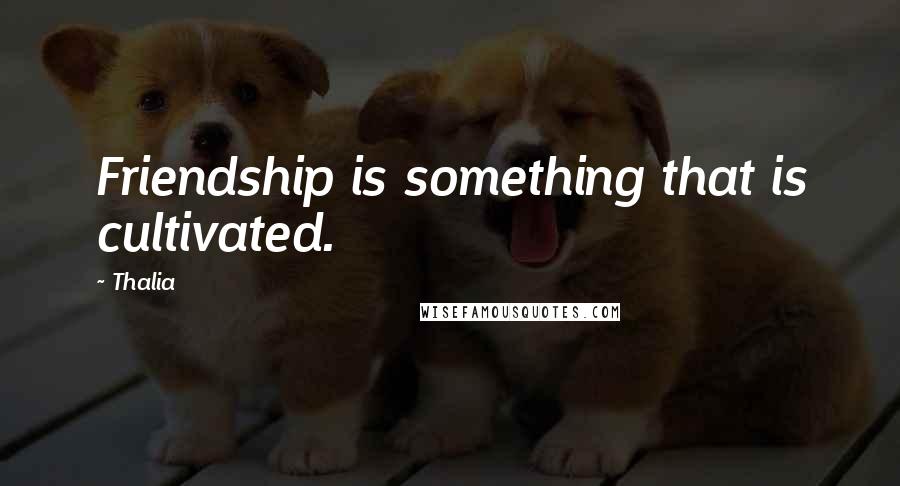 Thalia Quotes: Friendship is something that is cultivated.