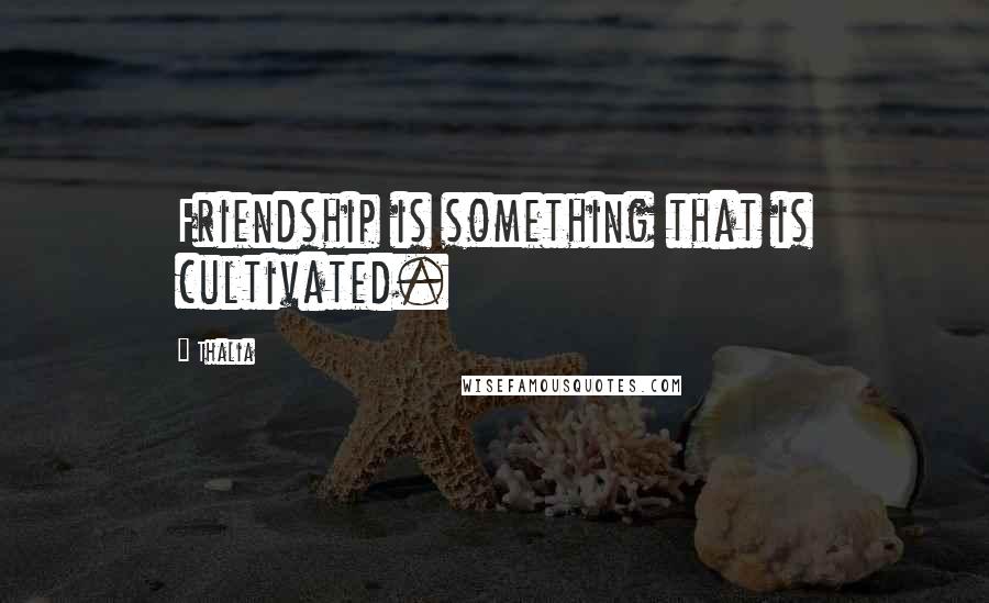 Thalia Quotes: Friendship is something that is cultivated.